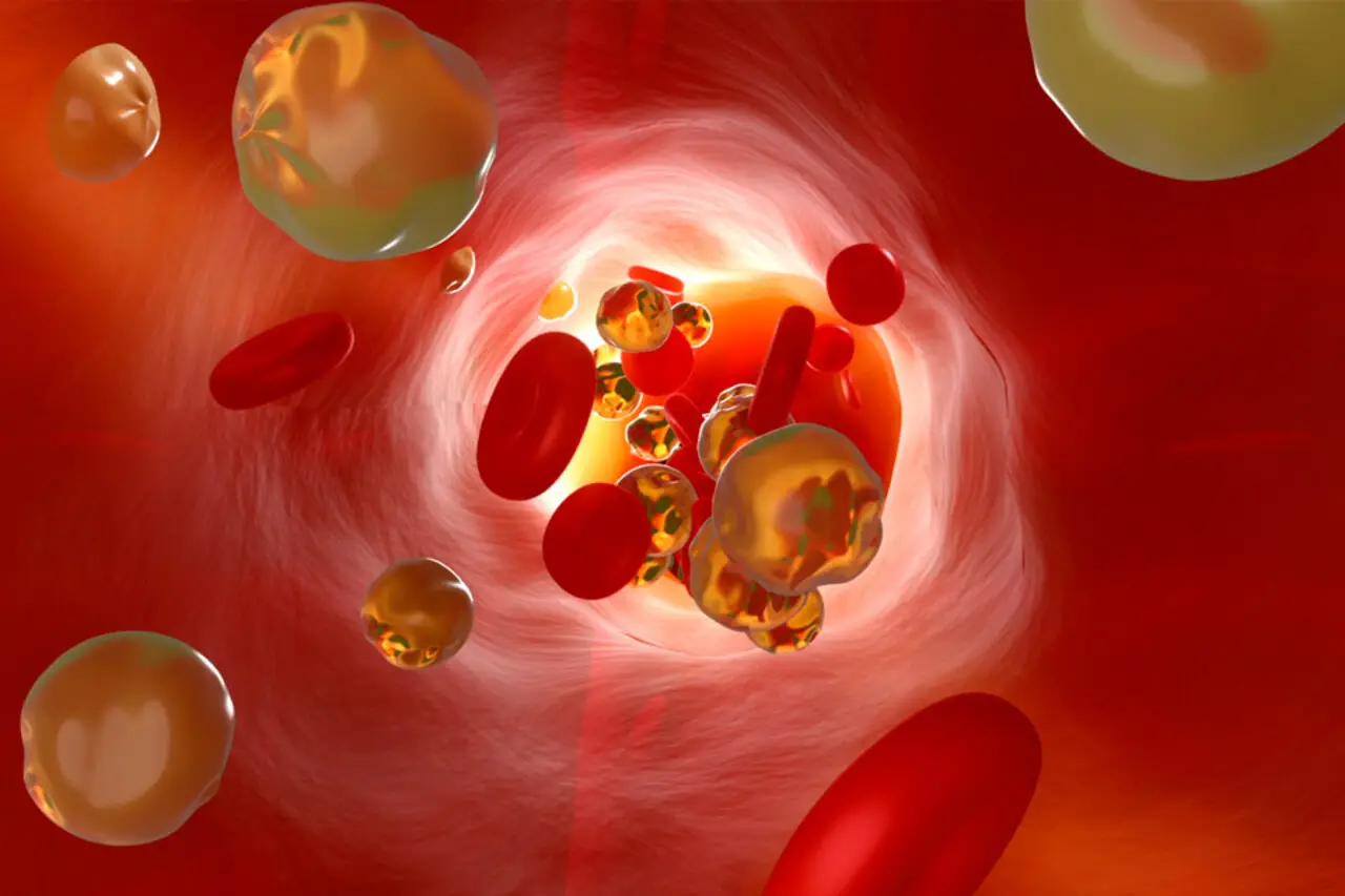 Attenzione dopo il prelievo del sangue: non fare assolutamente questo per evitare problemi