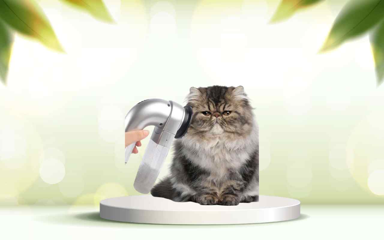 SpazzolAmica: scopri la soluzione efficace per eliminare i peli degli animali in casa